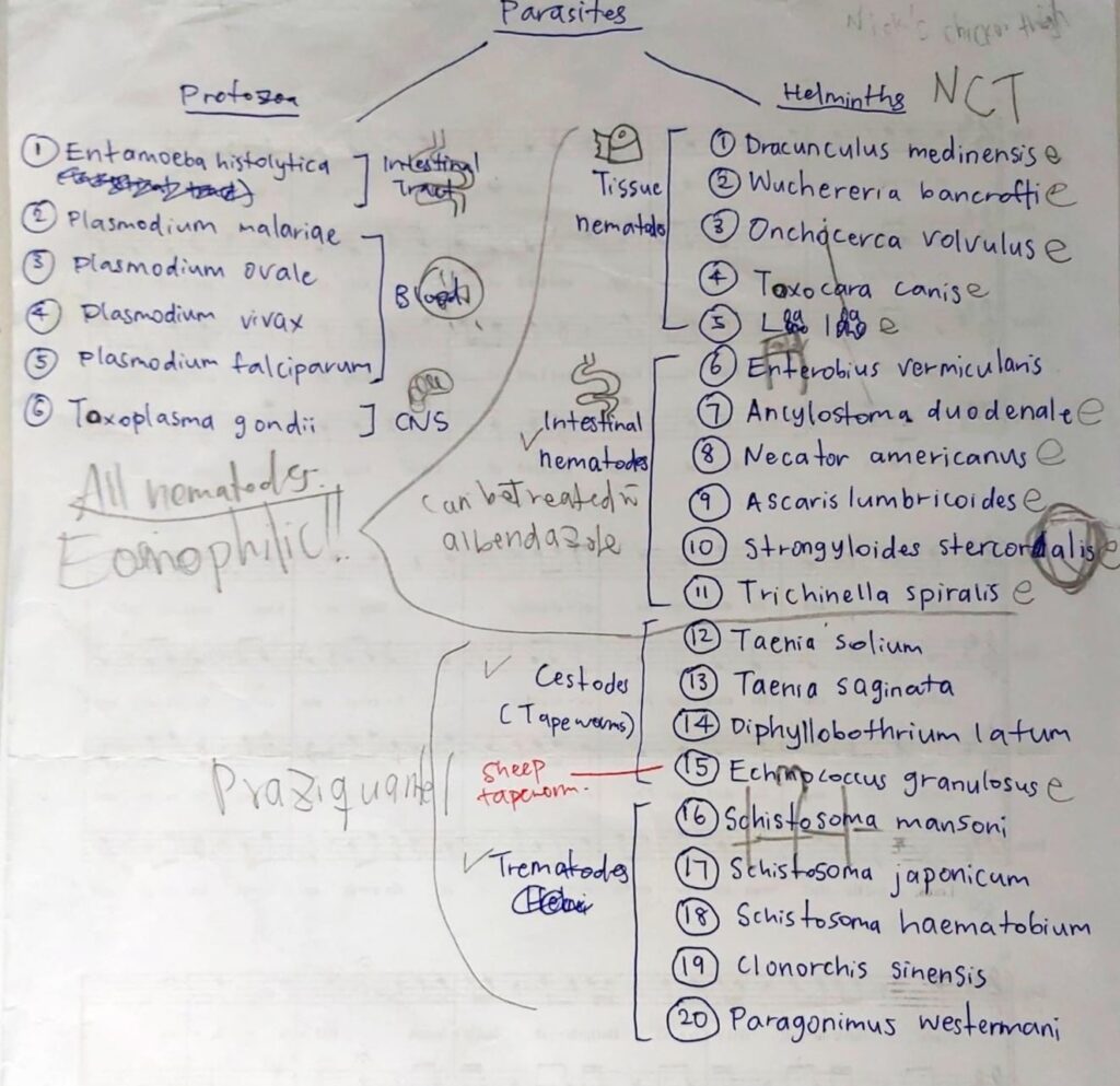 Mindmap about Parasite