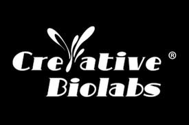 Creative Biolabs Scholarship Program