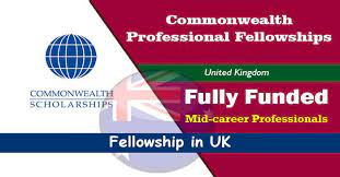 Commonwealth Professional Fellowship