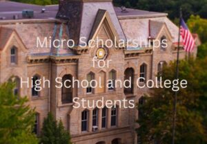 Micro Scholarships: The Special Scholarships for High School Students