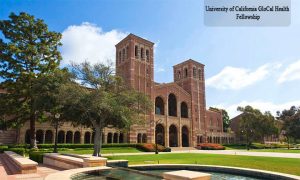 University of California GloCal Health Fellowship